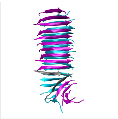 Figure 9: Molecular conformation of the capped Class6-AP fibril priorto SMD simulation