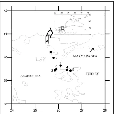 Figure 1. Study area and sampling stations 