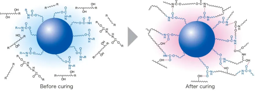 Figure 1. Molecular state of composite resin before and after curing (conventional silane coupling agent used)