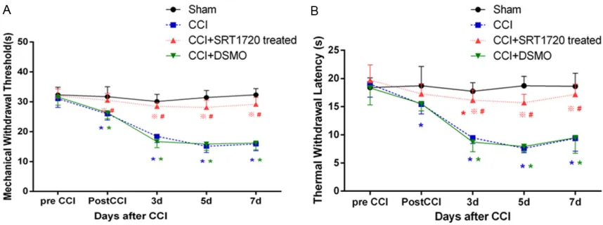 Figure 2. Changes in the activity of HDAC and HAT in neuropathic pain rats caused by CCI