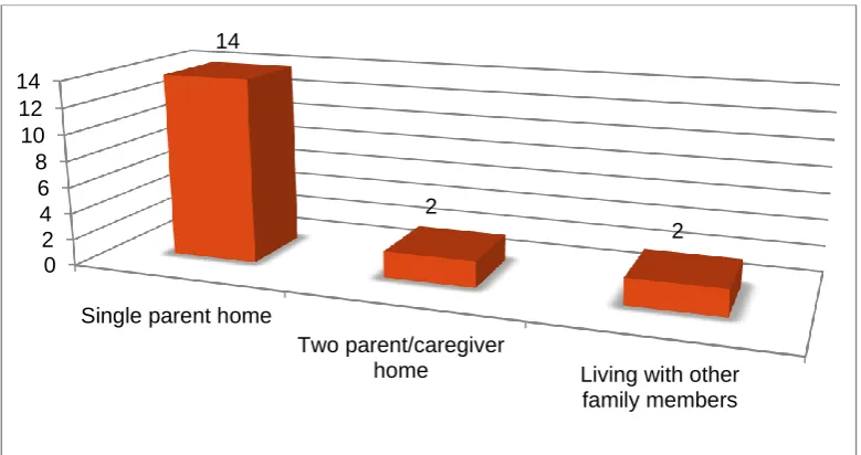 Figure 1: Participants’ current family structures*  