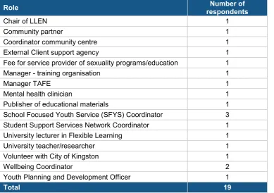 Figure 4: List of "other" roles described by survey respondents 
