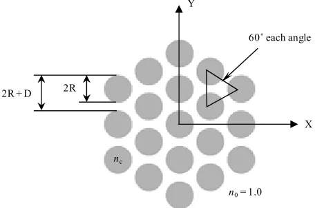 Figure 1. Schematic transverse section of the proposed structure with 19 cores in hexagonal arrangement
