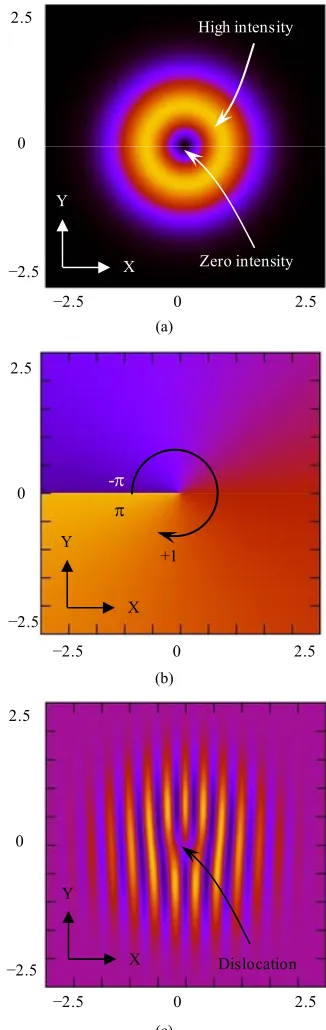 Figure 2m. The field intensity is shown in Figure 2(b)=  shows the phase change from –that shows the point of dislocation with a vortex topo-ure 2(c)ure 2(a)= 0.01,  NΔΔw0w = 25.0   with the point of zero intensity at the origin and is the interferogram wi