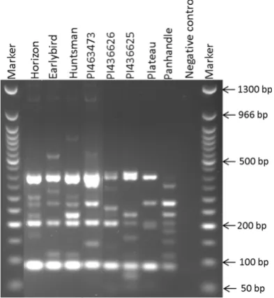 Figure 2. Resolving power values of 254 polymorphic SSR markers in proso millet.