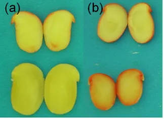 Figure 1. (a) Seeds discolored after preconditioning immer-preconditioning with manual scarification.sion in heated water; (b) Seeds with uniform color after  
