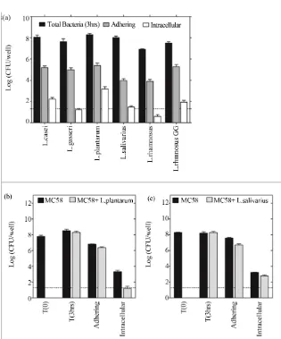 Figure 5. L. plantarum and L. salivarious inhibit NmB adhesion and invasion of nasopharyngeal epithelium