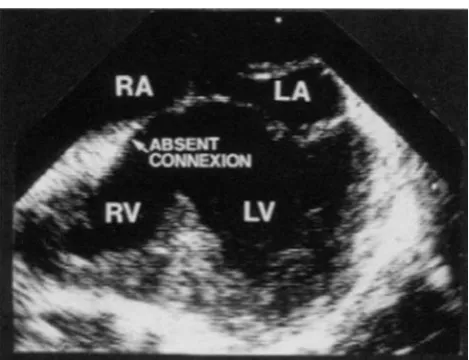 Figure 25.