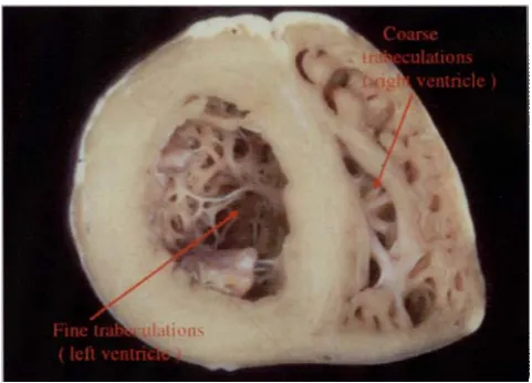Figure 9.