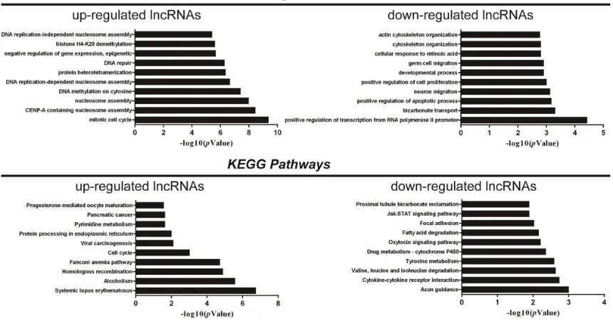 Figure 4. Validation of dysregulated lncRNAs and prediction of their prognostic value
