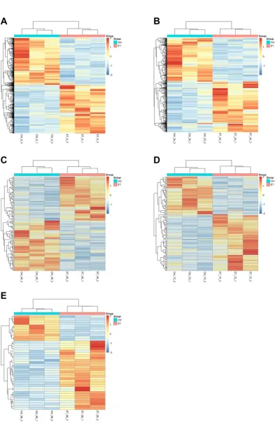 Figure 7. Heatmaps and hierarchical clustering of all DEG (rows as genes and columns as samples)