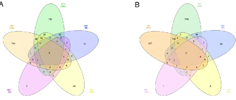 Figure 8. Venn diagram that shows the number of unique and overlapping genes, either upregulated (A) or downregulated (B) by ET-1 stimulation