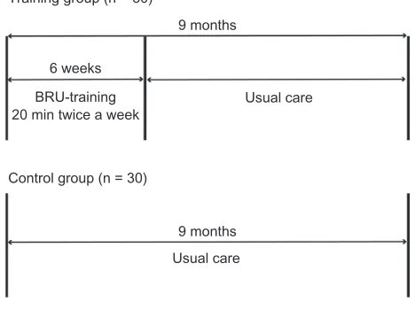 Figure 1 Study design.