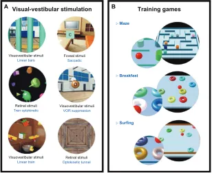 Figure 2 Components of the BRU-training protocol. Each training session lasted 30 minutes and consisted of a combination of visual-vestibular rehabilitation (A) and postural training virtual reality exercises (B)