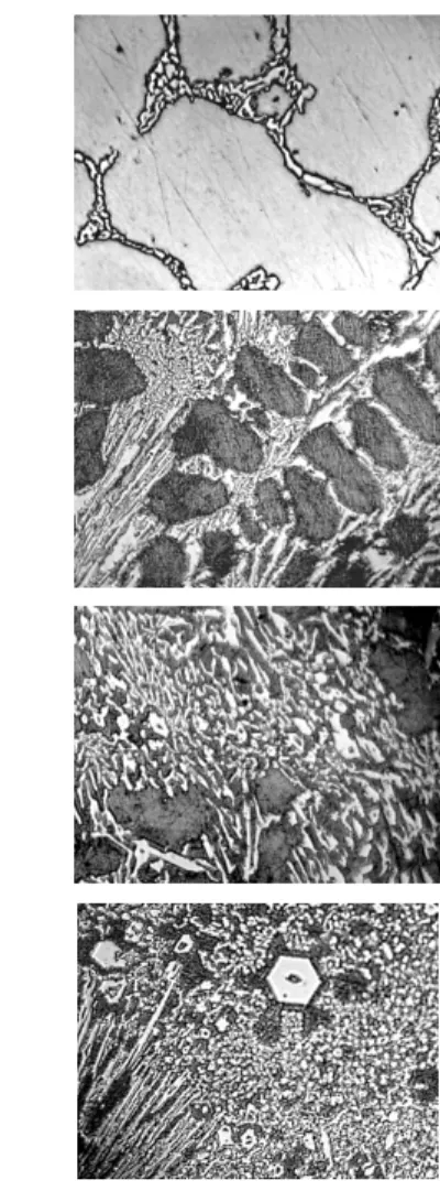 Fig. 1. Carbide types in the cast irons, х 600: a – carbides (Cr, Fe, Mn)23 С 6 ; b – carbides  