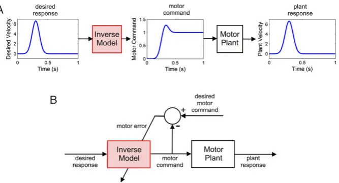 Fig. 3. Inverse model control of a simple viscoelastic motor plant. A: A desired plant response, in the form of a Gaussian signal, is transmitted through an inverse modelof the viscoelastic motor plant (also used in Fig
