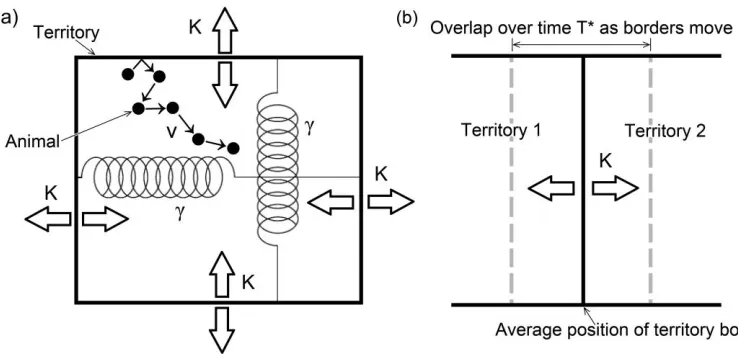 Figure 1: Representation of the approximate analytic model of animal movement within a dynamic territory