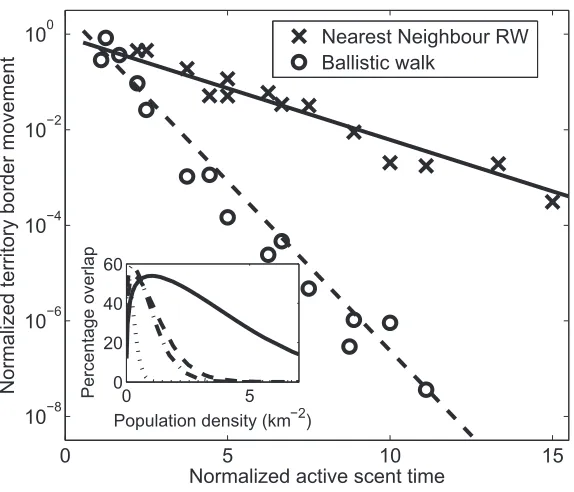 Figure 2: Simulation output showing the dependence of territory boundary movement on the active scent time for nearest-neighbor randomwalks (NNRWs) and ballistic walks (BWs)
