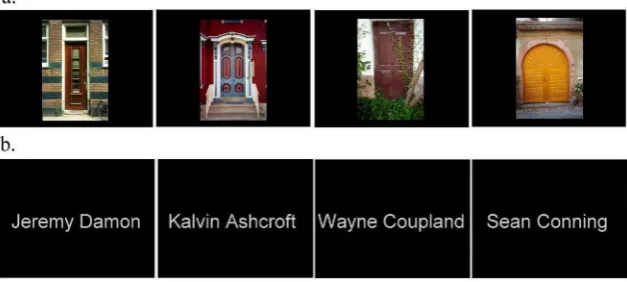 Figure 1. Examples taken from the stimulus set (not to scale). (a) Four examples of the Door stimuli