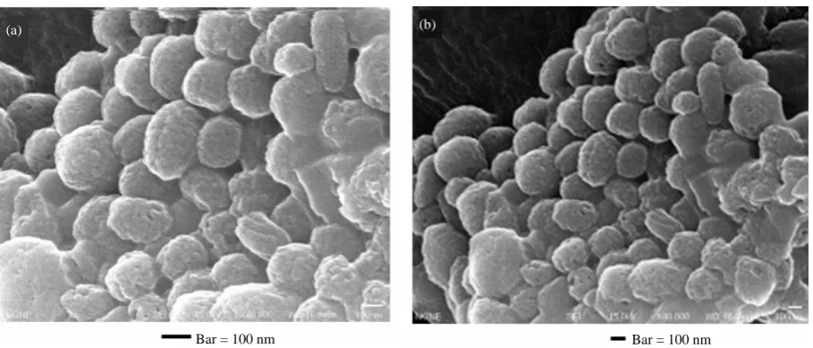 Figure 1.  A simplified schema showing the acquisition of sequential images to get three dimensional data by using Ultra-High Voltage Electron Microscopy (UHVEM) at Osaka Univ