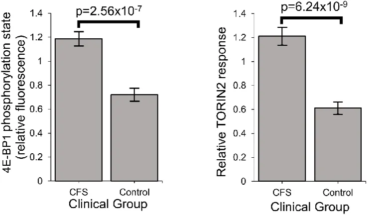 Figure 7: Stress sensing pathways in ME/CFS are perturbed – TORC1 is chronically hyperactivated