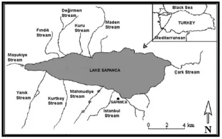 Figure 1.  Map of Lake Sapanca, *=sampling localities for to new records.  Results and Discussion 