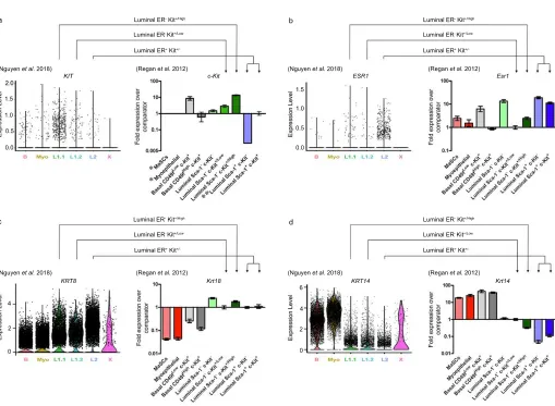 Figure 1: Comparison of gene expression in cell populations identified by Nguyen et al
