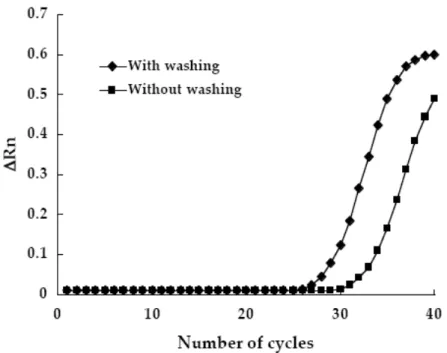 Fig. 3.    Effect of sample washing on amplification efficiency of RT-PCR assay. Bacterial DNA tem-