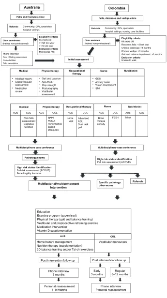 Figure 1 Comparative flow diagram for processing falls and fracture clinics in Australia and Colombia.Note: Specific interventions for each program are separated into columns.Abbreviations: 3D, three-dimensional; ADL, activities of daily living; ALCOvE, Assessing Care of vulnerable Elders; AUS, Australia; BMI, body mass index; COL, Colombia; FES-I, Falls Efficacy Scale-International; GDS, Geriatric Depression Scale; GPs, general practitioners; IADL, instrumental activities of daily living; MNA, Mini Nutritional Assessment; POMA, performance oriented mobility assessment; SPPB, short physical performance battery.