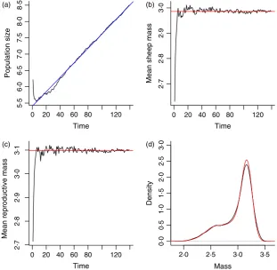 Fig. 3. Simulation of the Soay IBM show-ing (a) log population size, (b) mean sheepsize and (c) mean size at reproductionplotted against time