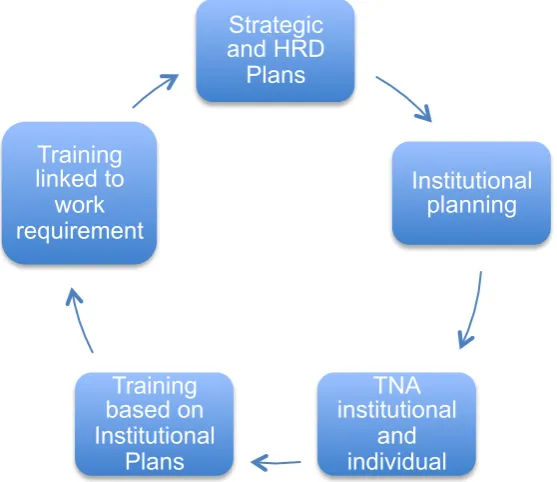 Figure 1. Planning and Training cycle60 