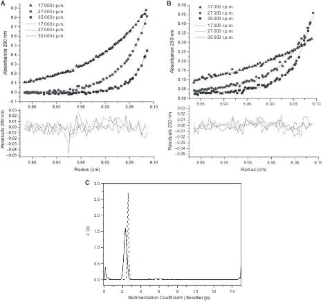 Fig. 3. AUC of WT ORF18 ArdA and L127E ArdA. (A) SEDPHAT sedimentation equilibrium data analysis of WT ORF18 ArdA at 15 lM at17 000 r.p.m., 27 000 r.p.m., and 35 000 r.p.m