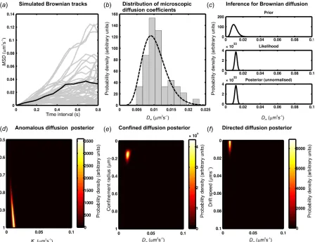 Figure 4. Implementing BARD. (a) Simulated Brownian tracks (grey) all with diffusion 
