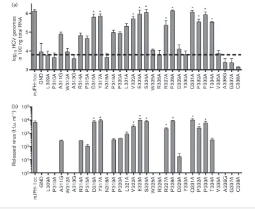 Fig. 3. Expression of non-replicating NS5A domain II mutants. Huh7 cells seeded in six-well plates were transfected withpCMV10-NS3-5B DNA and harvested at 48 h for Western blot analysis