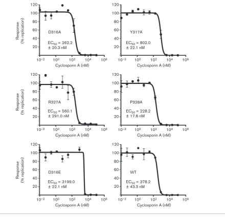 Fig. 4. Effect of domain II mutations on CsA EC50. Huh7 cells were electroporated with mSGR RNA, seeded into 96-wellplates and treated at 4 h p.e