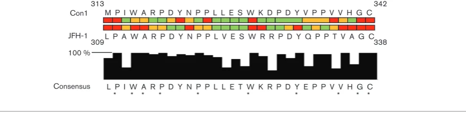 Fig. 5. Requirement of residues within the C-terminal region of domain II for genome replication in the JFH-1 and Con1 isolates.shown in Fig