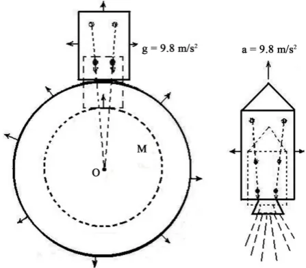 Figure 4. The full equality of expansion with the grawity.                 