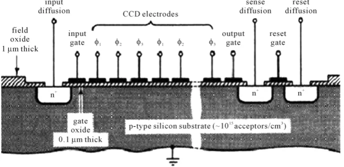 Figure 1. Diagrammatic representation of a complete CCD. 