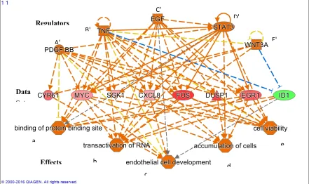 Figure 3 presents the effects associated with changes in gene expression of 15 minutes of PK 11195 site;  (2) Transactivation of RNA;  (3) Endothelial cell development;   4) Accumulation of cells;  and (5) Cell viability