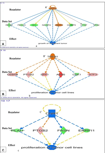 Figure 4. Potential effects on tumorigenicity due to gene expression following 24 hrs of exposure of U118MG cells to PK 11195 (25 µM)