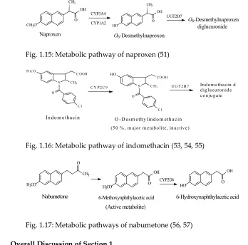 Fig. 1.17: Metabolic pathways of nabumetone (56, 57) 