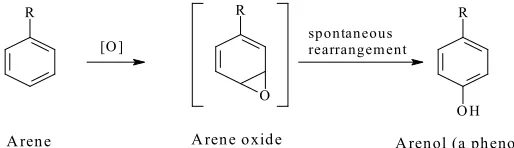 Fig. 1.18: Tug-of-war game between COX-active sites and NSAID/O-desmethyl NSAID 