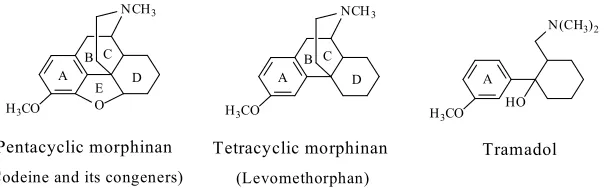 Fig. 1.3: Metabolic pathways of codeine 