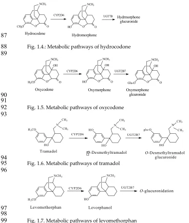 Fig. 1.7. Metabolic pathways of levomethorphan 