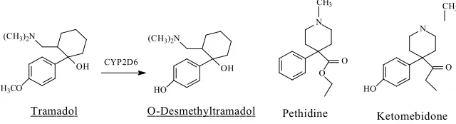 Fig. 1.8. Structures of the opioid drugs pharmacophores 