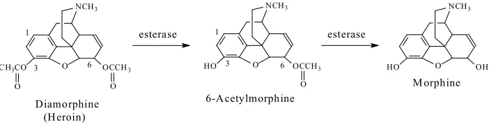 Fig. 1.10. Diamorphine, 6-acetylmorphine, and morphine 