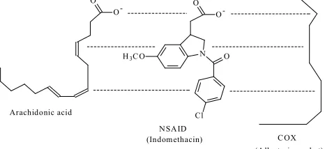 Fig. 1.14. 