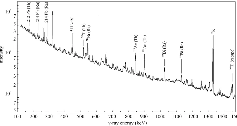 Figure 1. γ-Ray spectrum for gypsum sample G14. 