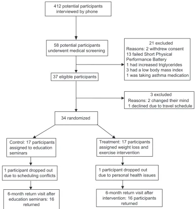 Figure 1 Participant flow during the trial.