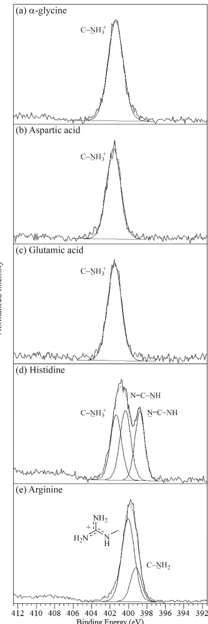 Figure 2. XPS N 1s spectra of the amino acids: (a) -glycine, (b) aspartic acid, (c) glutamic acid, (d) histidine, 
